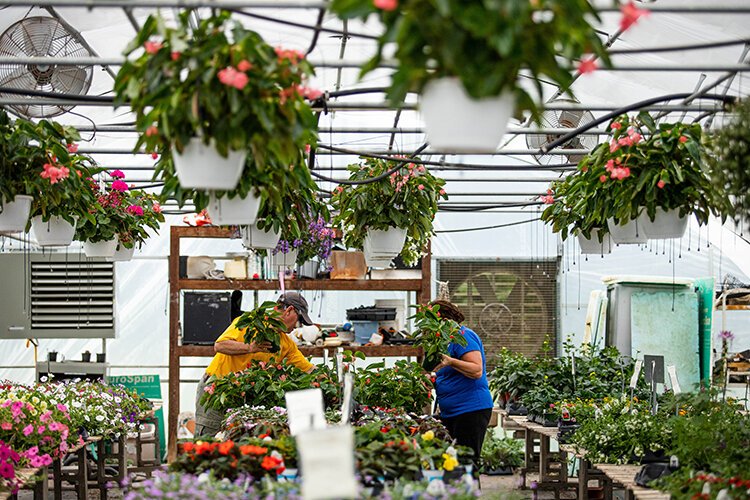 Owner David Breedlove helps a customer carry plants on May 25 at Pleasant Thyme Herb Farm.