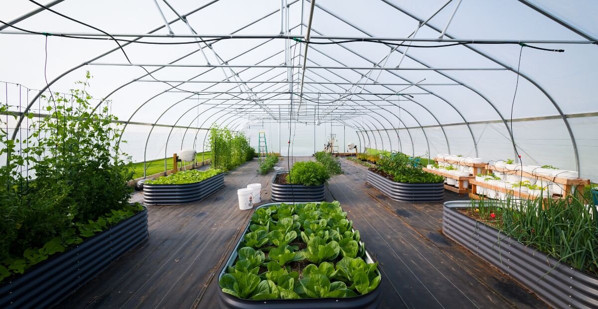Renaissance Public School Academy has an 84 by 30-foot gothic-style hoop house on campus grounds. 