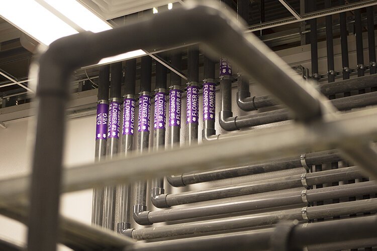 High-Minded Harvest uses a hydroponic growing system to grow plants within the 37,000 square-foot facility. Systems for delivering nutrients and runoff collection and recirculation have been incorporated into the building's design. 