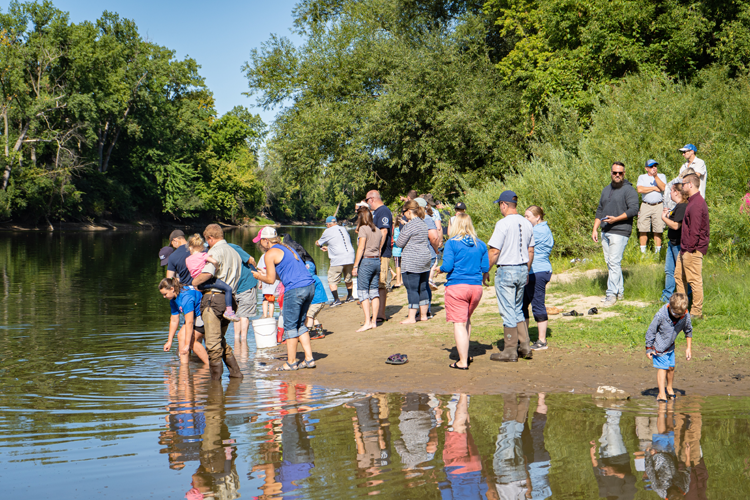 Volunteers gather in Midland to release the sturgeon in August.