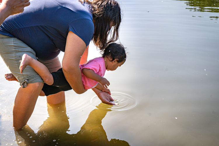 The juveniles won’t stay long in the rivers, as they will likely travel out of the watershed and into Lake Huron to mature — a process that can take anywhere from 15-20 years. 