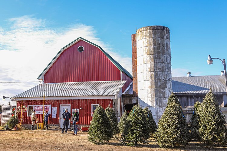 Swan's Christmas Tree Farm offers pre-cut and you-cut Christmas Tree options.