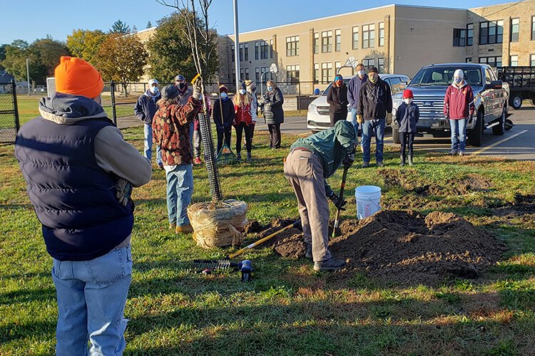 Volunteers plant trees donated by DTE Energy at Fancher Elementary School in Mt. Pleasant. Trees NOW Isabella are project partners with the United Way of Gratiot and Isabella Counties who provide financial support for the initiative.  