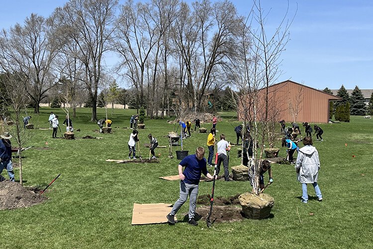 Two eighth-grade classes at Mount Pleasant Middle School helped plant 20 trees with nonprofit Trees NOW Isabella on Friday, April 29. 