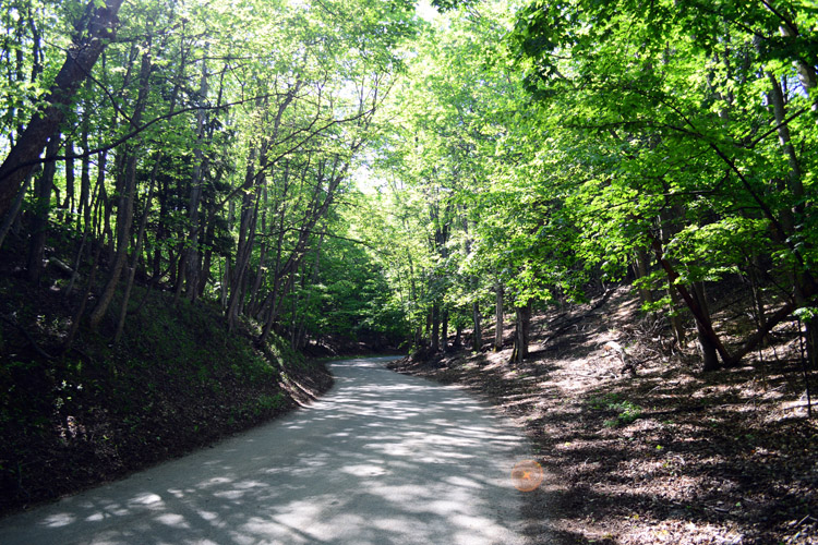 In Michigan, forests often surround the trails.