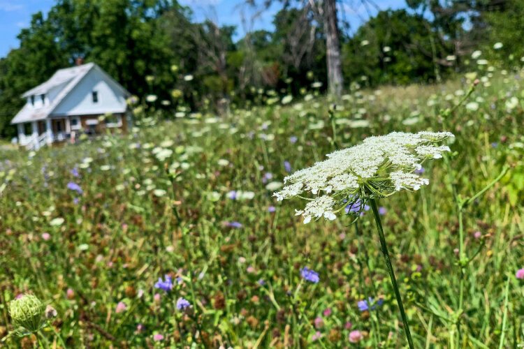 This home sits among fields along Forest Hill Avenue and Rankin Street, in the heart of the Civic Park neighborhood. 