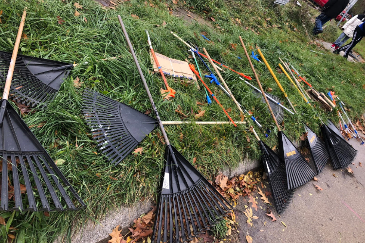 The cleanup was called Lots of Love, Lots of Life and was part of a $1 million grant to cleanup and reduce crime in north Flint.