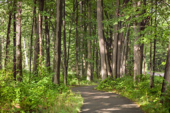 FTbiketrail