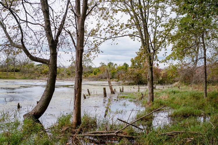 Detroit River International Wildlife Refuge. Photo by Nick Hagen.