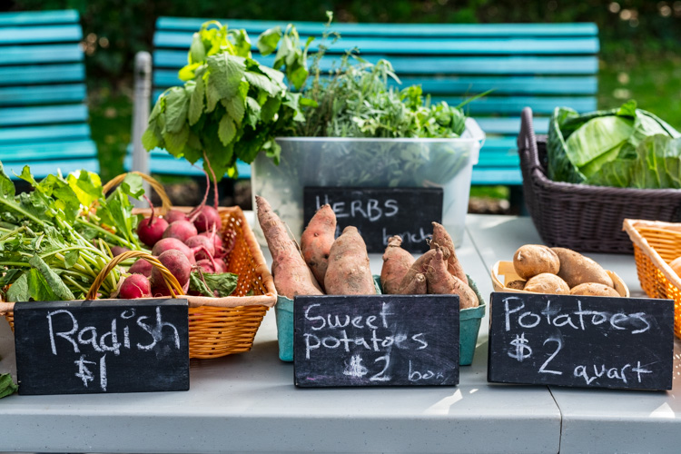 Produce at the Ypsilanti Mobile Farm Stand.