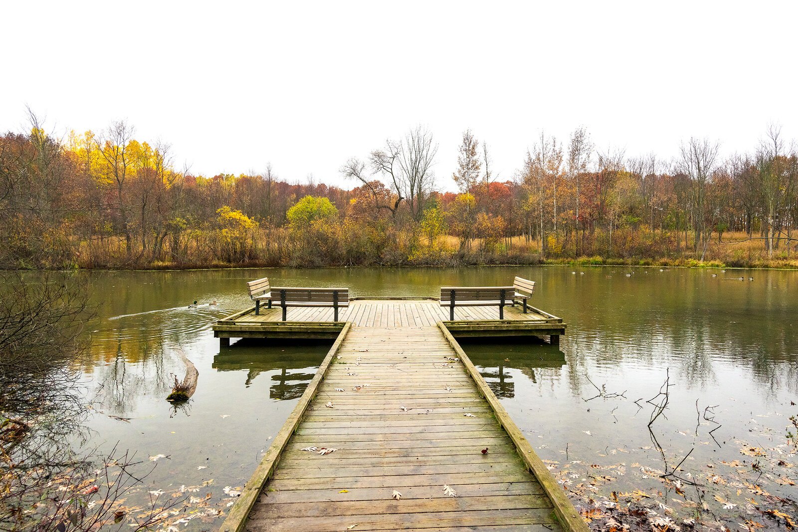 Bear Creek Nature Park. Photo by Doug Coombe.