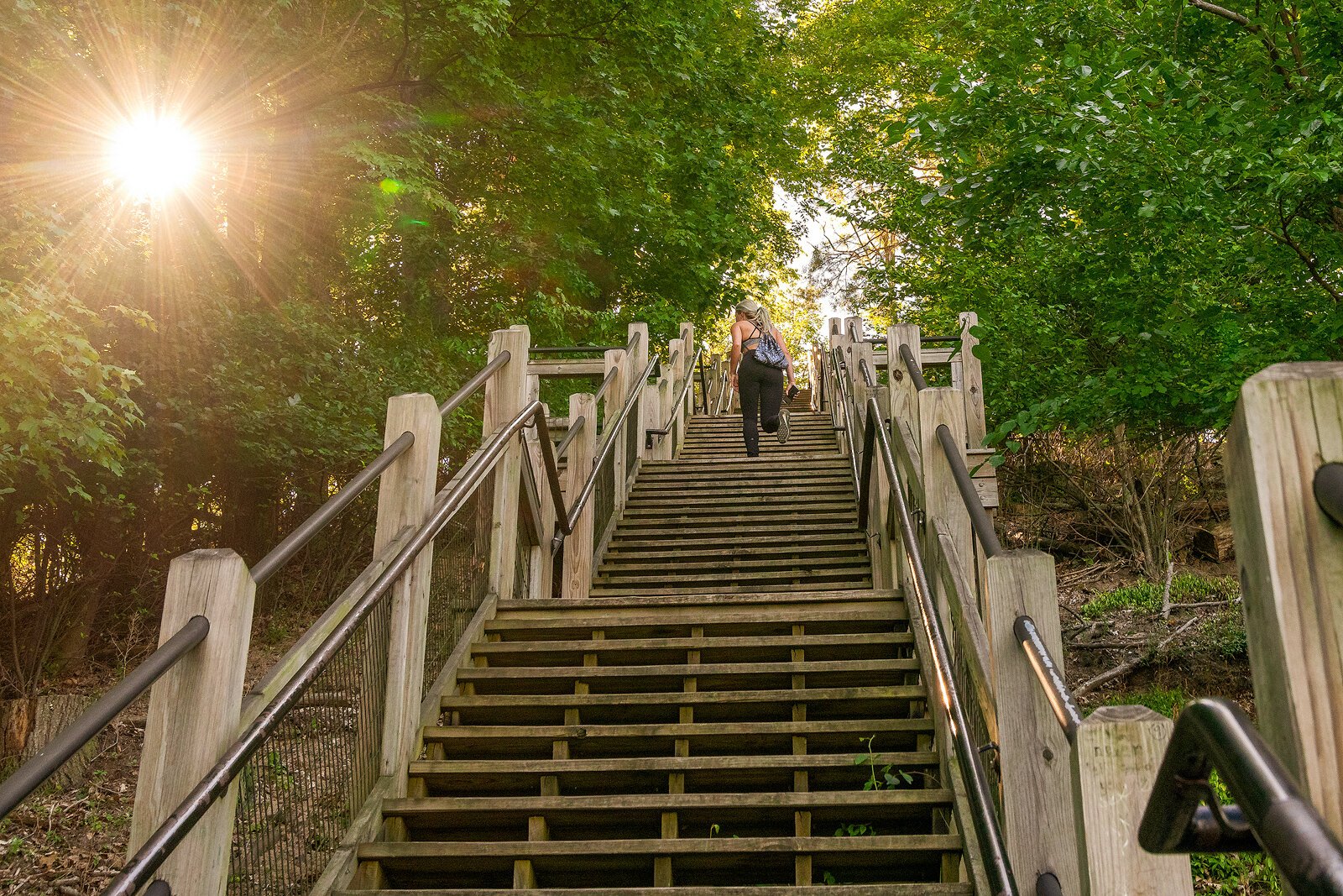 Mount Baldhead. Photo by Doug Coombe.