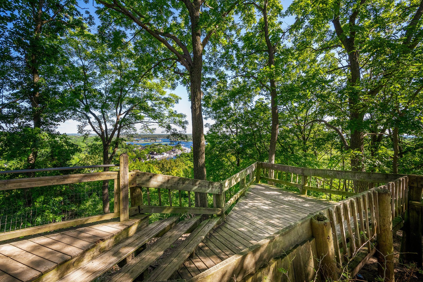 Mount Baldhead. Photo by Doug Coombe.