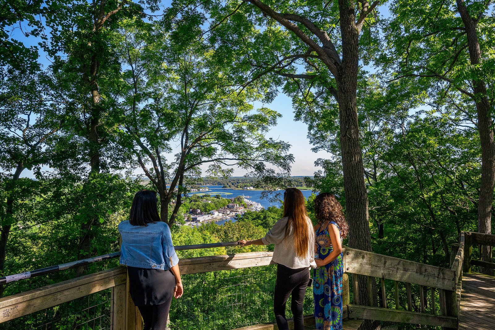 Mount Baldhead. Photo by Doug Coombe.