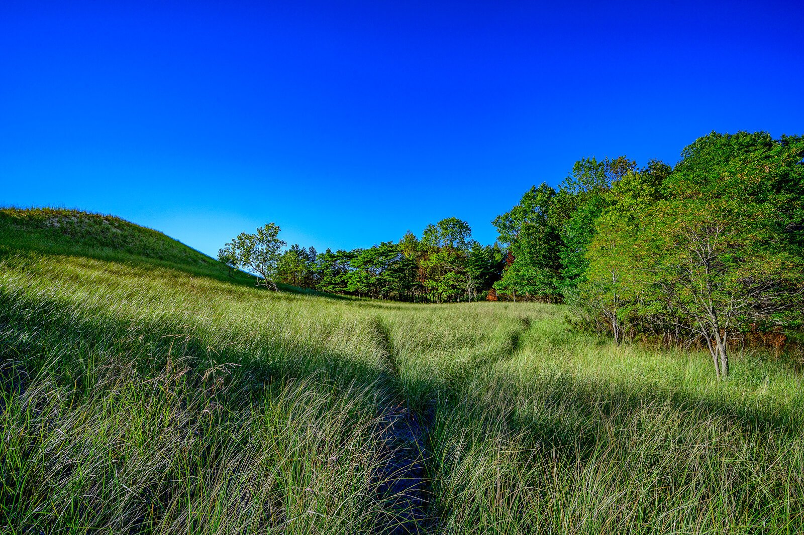 Saugatuck Harbor Natural Area. Photo by Doug Coombe.