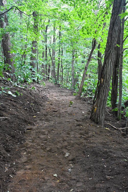 Trail-building at Armintrout-Milbocker Nature Preserve. 