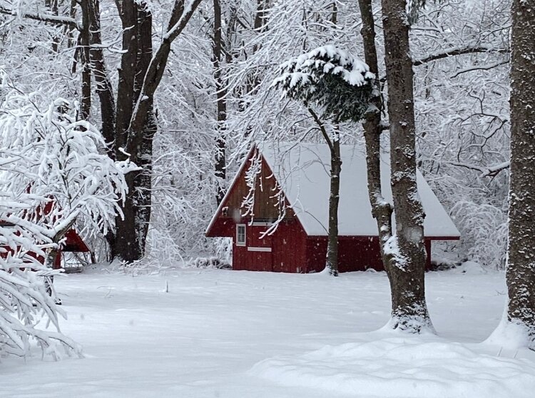 Amber Loftus won first place for her photo, "Snowy Allegan."