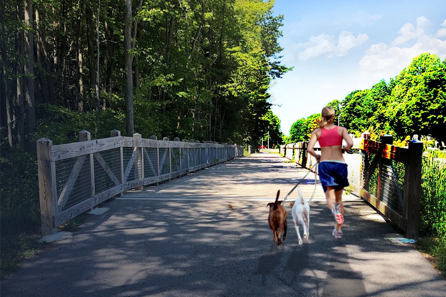 Friends of the Blue Star Trail are working to finish the recreational trail across Allegan County. 