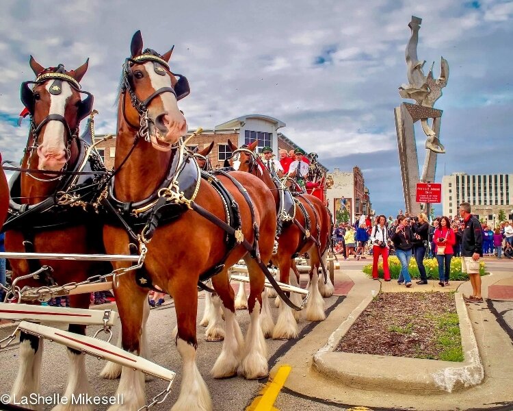 The Clydesdale Team will be in Muskegon's Heroes Tribute Parade.