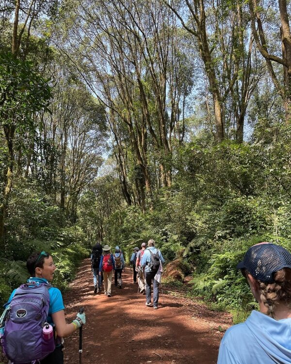 Emily Polet-Monterosso was among 22 single-kidney climbers to tackle Mount Kilimanjaro earlier this month.