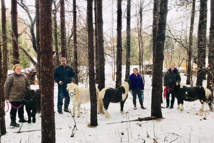 Fellinlove Farm in Holland is hosting Winter Wonderland on the weekends through January.