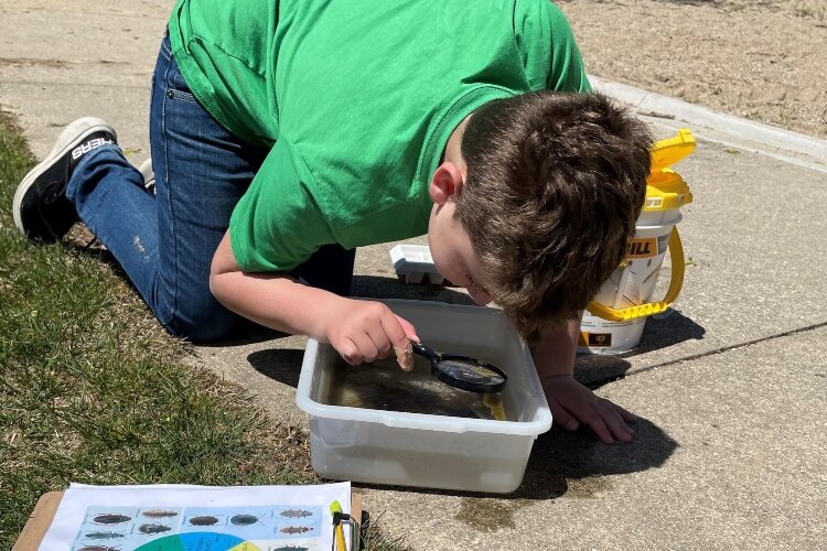 A Peach Plains fourth grader checks out water bugs during his class’ Groundswell Stewardship Project to help protect the Grand River watershed.