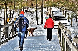 The Nature Center at Hemlock Crossing Park has reopened with special winter hours and offers snowshoe rentals. (Mike Lozon) 