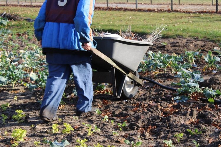 MCF's horticulture program gives incarcerated individuals the opportunity to gain skills in growing produce.