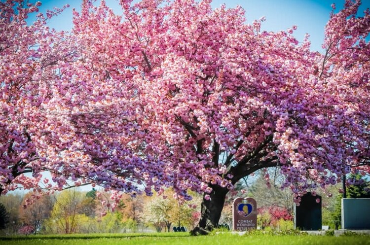 Memorial Day events are taking place across West Michigan on May 26. In addition to parades and pancake breakfasts, you might consider visiting Veterans Memorial Park in Muskegon.