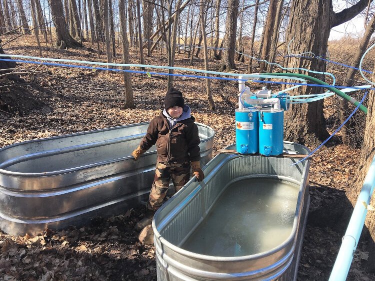 The next generation of Sugar Bin help learns sap collecting and storage techniques.