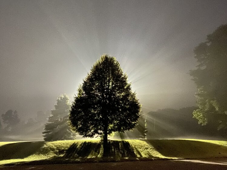 Matthew Luyk won third place for his photo, "Foggy Backdrop at L.E. White Middle School."