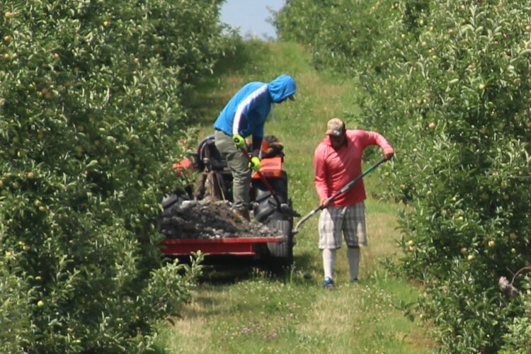Even under the best of conditions, seasonal and migrant farmworkers toil long, exhausting hours in extreme weather conditions, possibly exposed to pesticides. 