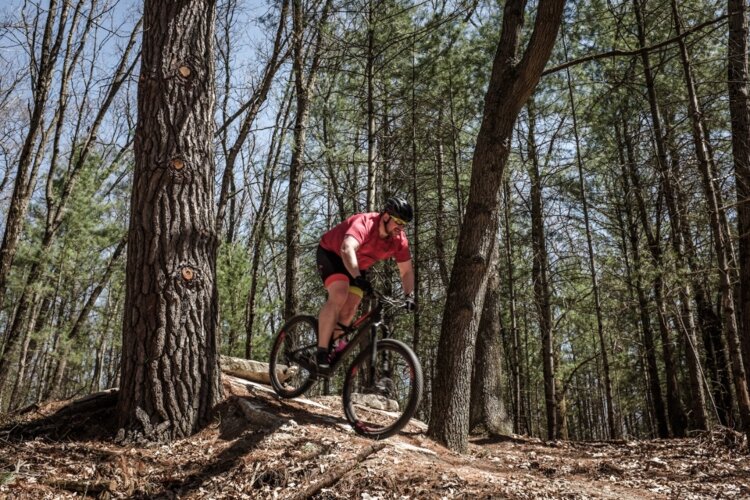 A cyclist rides over some tough terrain. Mosquito Creek trails offers a wide range of different riding experiences for all levels of riders.