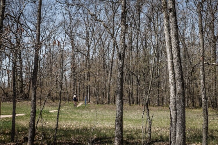 A cyclist riders through a glade towards the Black trail, the most technically difficult trail.