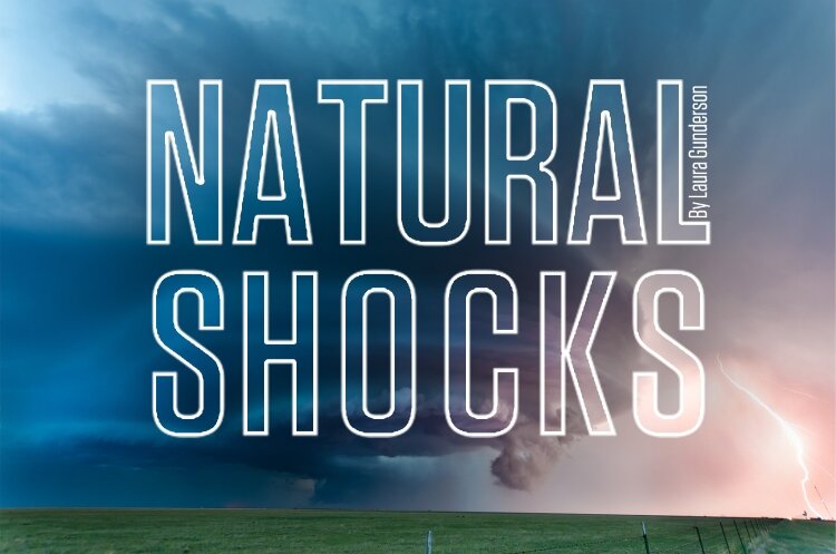 Hope Repertory Theatre will perform Natural Shocks this season.