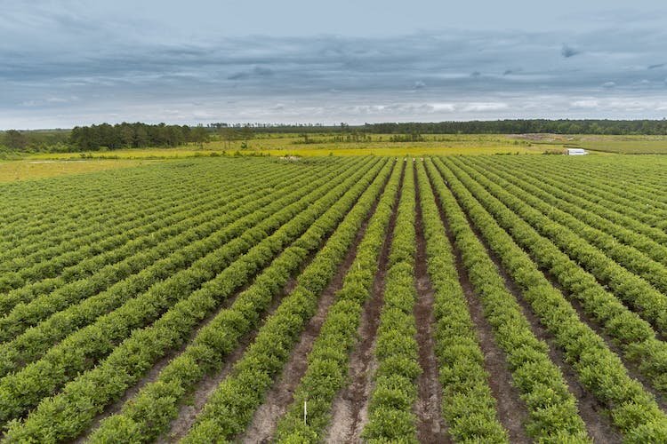 "Our board and our community recognize the significant cultural heritage farms bring to Park Township," says Park Township Manager Howard Fink.