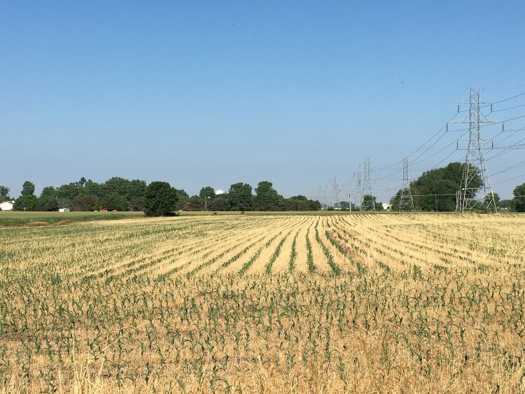 Preserving farmland is one of several goals for the OCD’s conservation initiative.