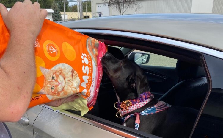 Harbor Humane Society has some programs such as the pet food pantry already in place to help low income families. It is expanding those offerings with a new role — the community outreach manager.