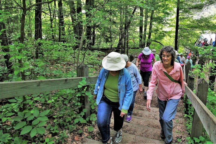 Step it Up group walks are led by an Ottawa County naturalist.