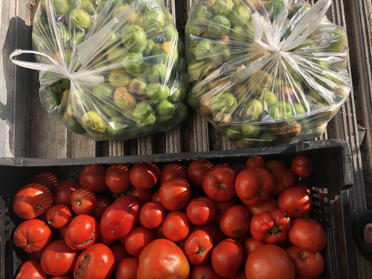 Ottawa Food rescued 34,000 pounds of food from one farmers market.