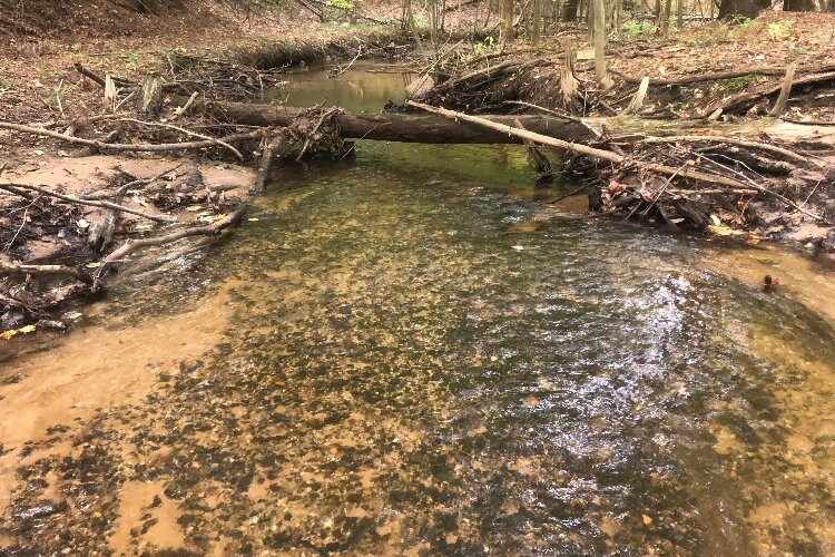 This creek is part of the Sand Creek and Crockery Creek watersheds.