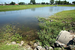 265-sw.jpg