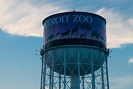 The Detroit Zoo in Royal Oak.