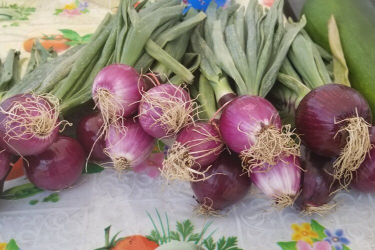 The Lincoln Park Farmers Market 2021 season begins Sunday, June 6.