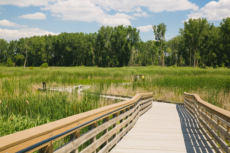 Lake St. Clair Metropark. Photo by David Lewinski