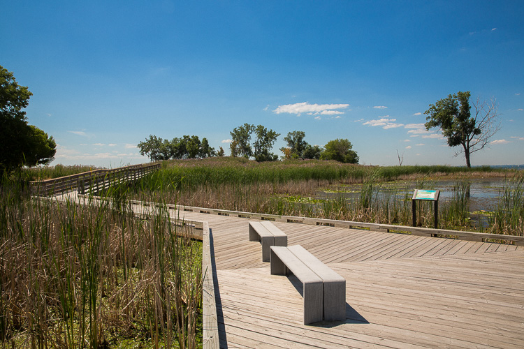 Lake St. Clair Metropark. Photo by David Lewinski