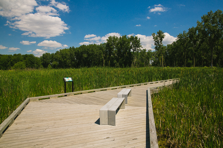 Lake St. Clair Metropark. Photo by David Lewinski