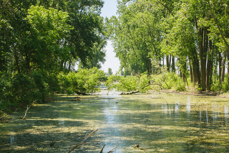 Lake St. Clair Metropark. Photo by David Lewinski