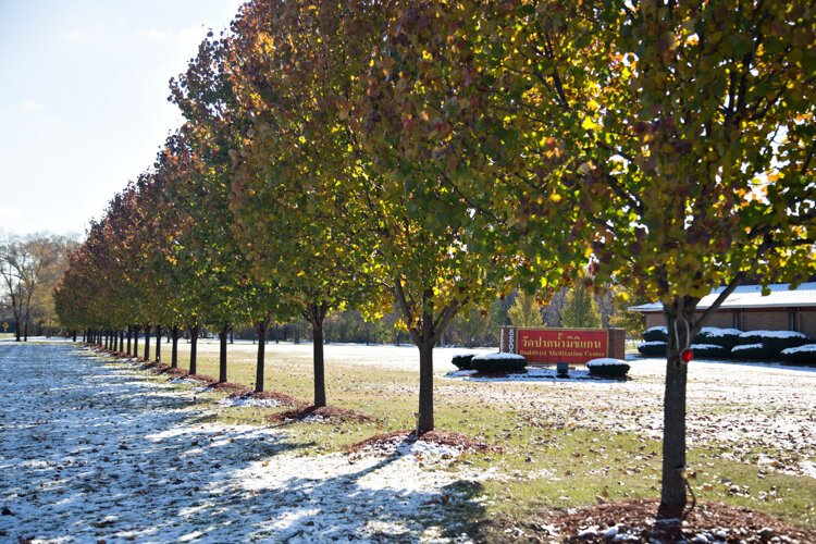 The Buddhist Meditation Center in Sterling Heights.