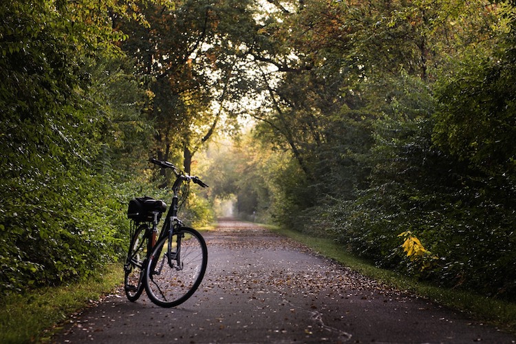 Bike trail